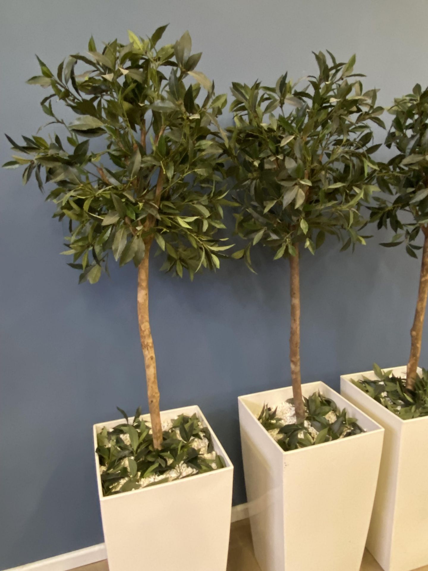 Three artificial trees in pots - Image 3 of 5