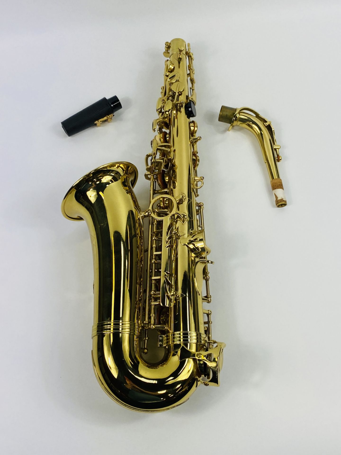 Trevor J James & Co, The Horn saxophone - Image 4 of 8
