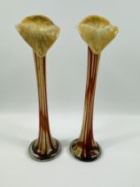 Pair of Jack in the pulpit glass vases