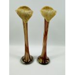 Pair of Jack in the pulpit glass vases