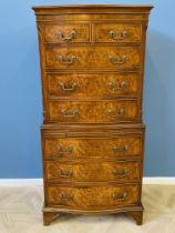 Burr walnut chest on chest