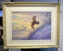1 x Framed Fine Art Print Featuring a Bird in Flight, Presented in an Ornate Antique-style Frame