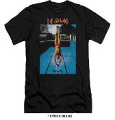 1 x DEF LEPPARD High and Dry Logo Short Sleeve Men's T-Shirt by Gildan - Size: Extra Large - Colour: