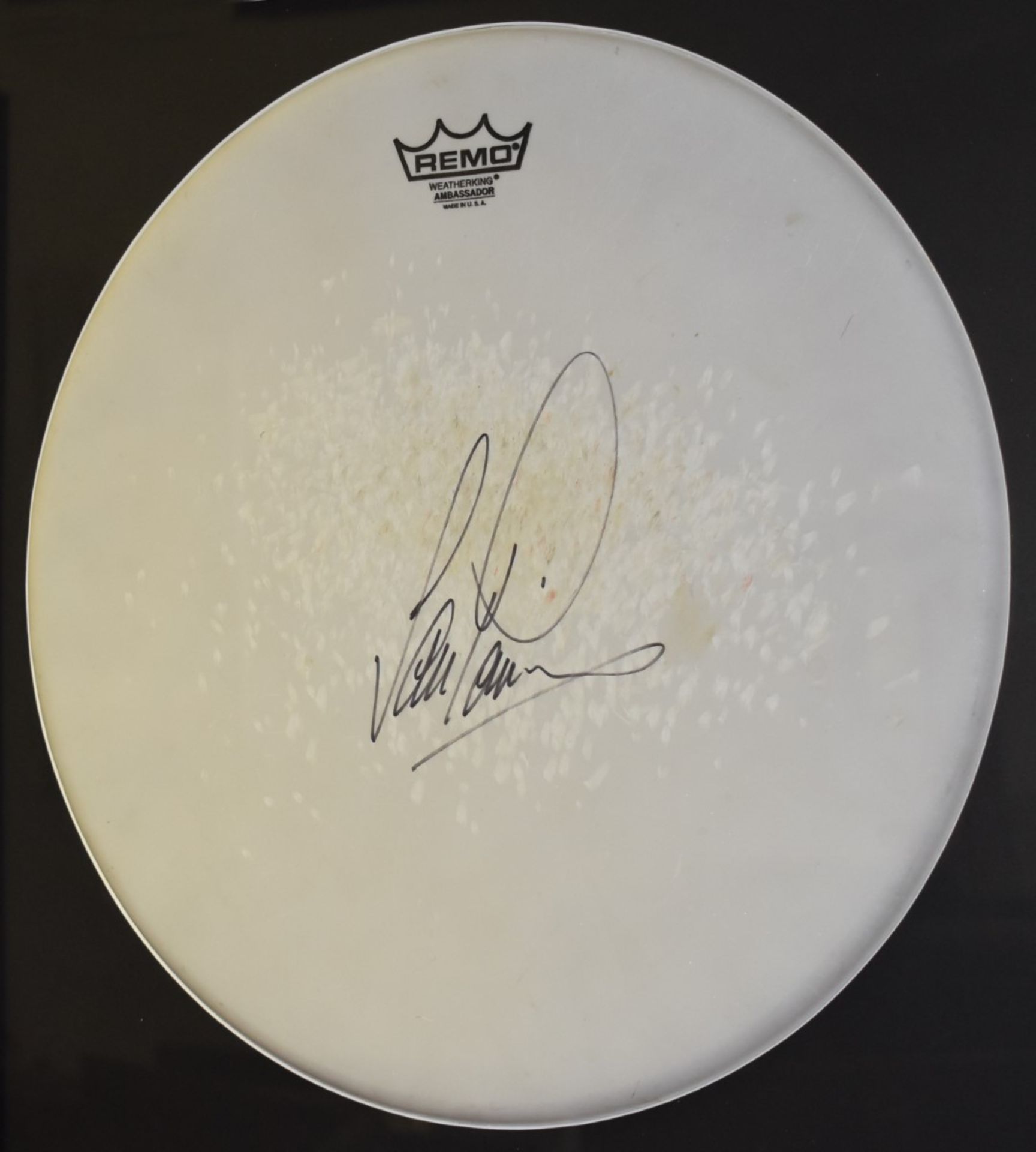 1 x Authentic DEEP PURPLE Drummer IAN PACE Signed DRUMSKIN With Autograph and COA - Image 2 of 9