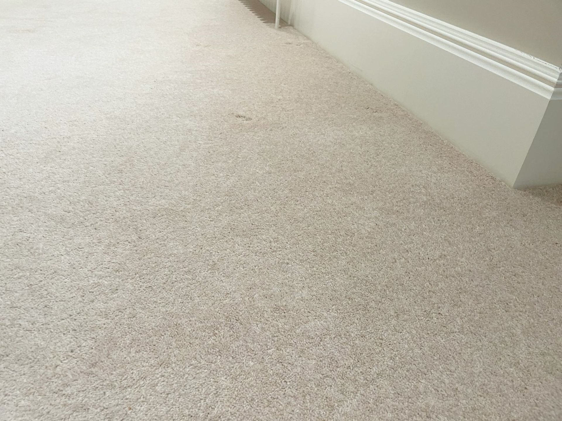 1 x Premium Wool Downstairs Carpet in a Neutral Tone + Underlay - NO VAT ON THE HAMMER - Image 5 of 7