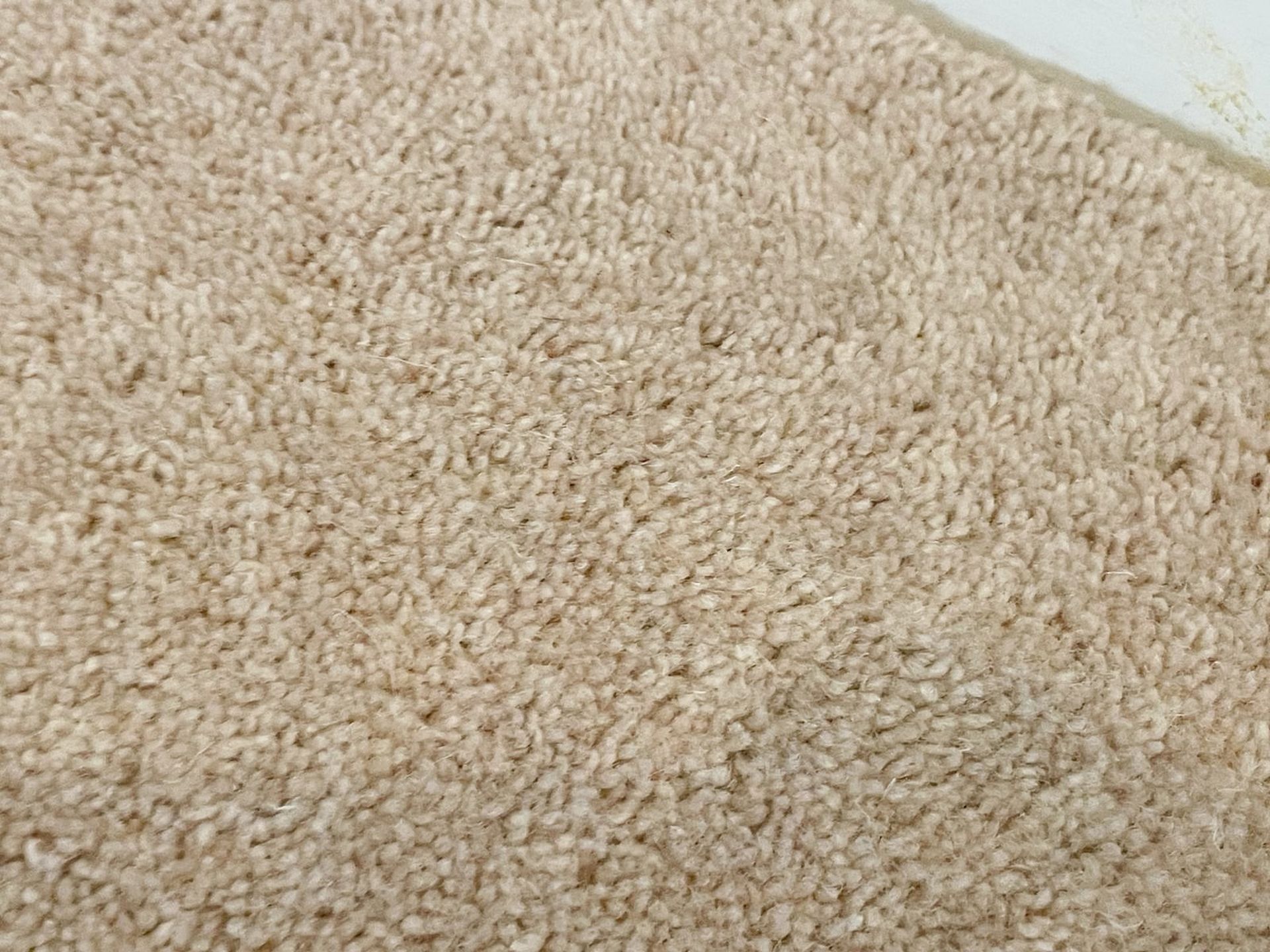 1 x Premium Wool Reception Room Carpet in a Neutral Tone + Underlay - NO VAT ON THE HAMMER - Image 4 of 7