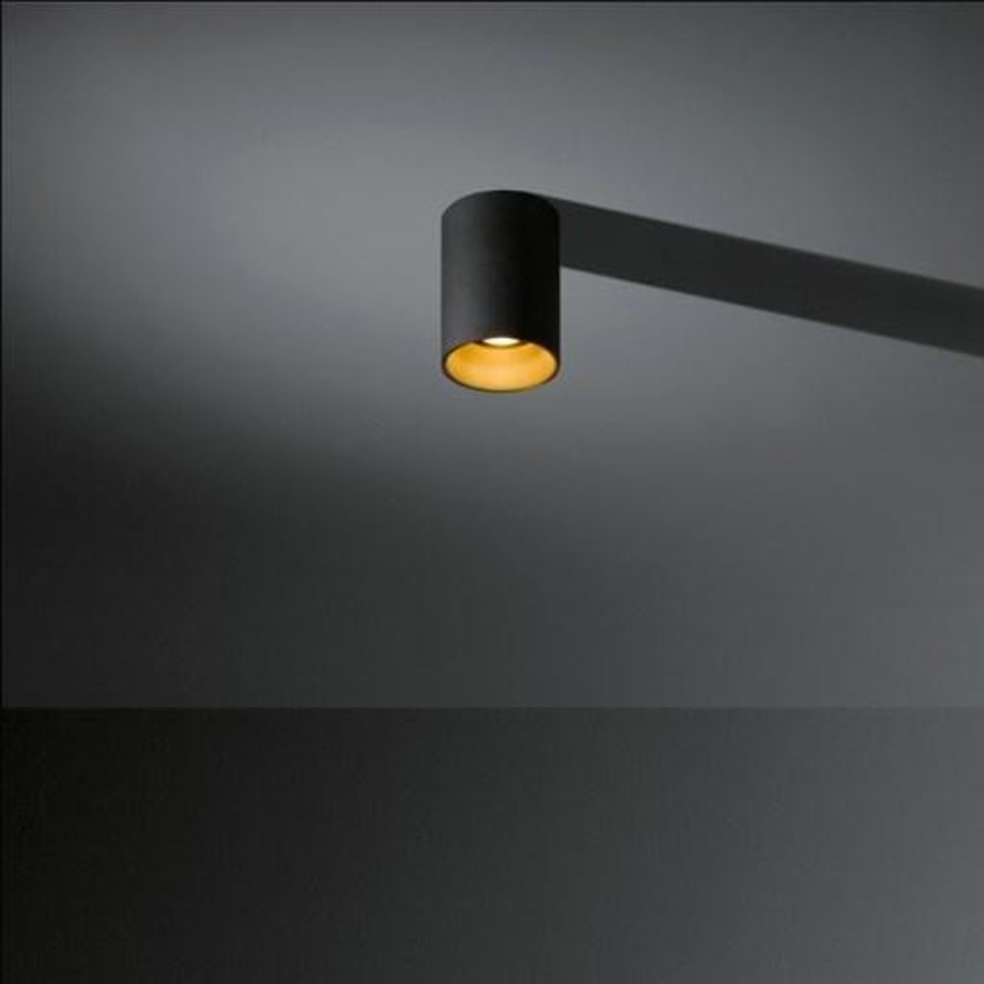 1 x MODULAR LIGHTING INSTRUMENTS Lotis Tubed Surface Mr16 Black/Gold Ceiling Lamp - 10882932 - RRP