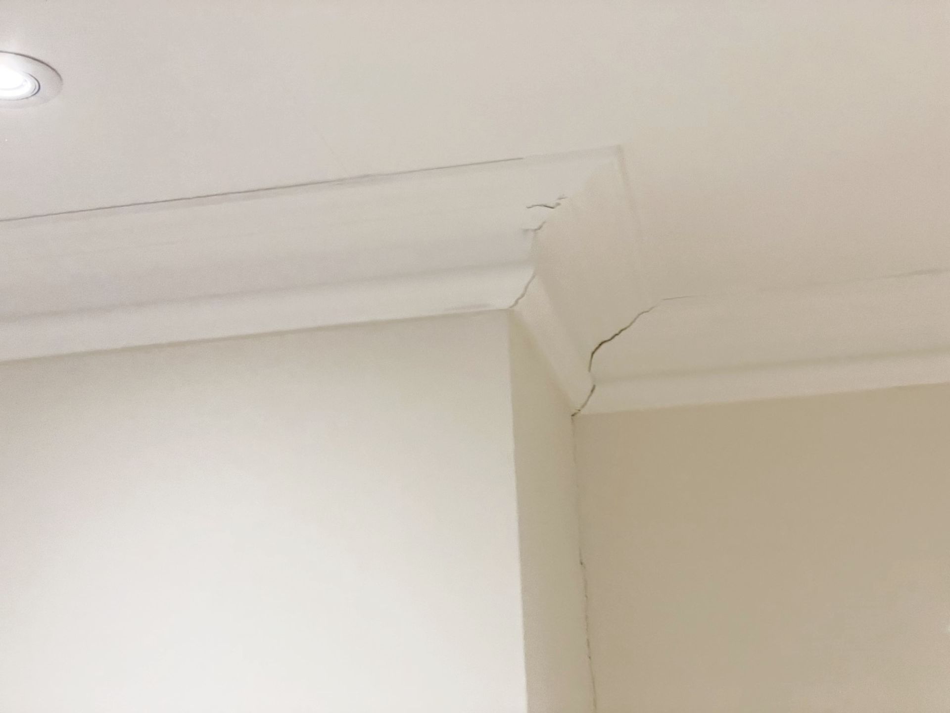 Approximately 14-Metres of Premium Ceiling Cornice