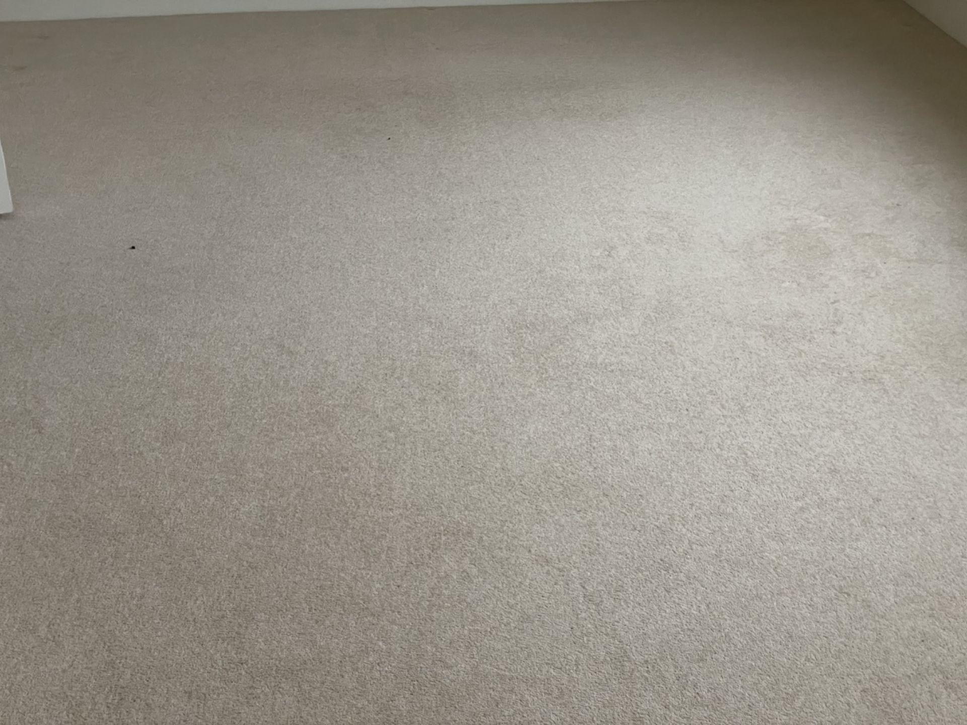1 x Luxury Wool Bedroom + Dressing Room Carpets in a Neutral Tone with Premium Underlay - Image 10 of 11