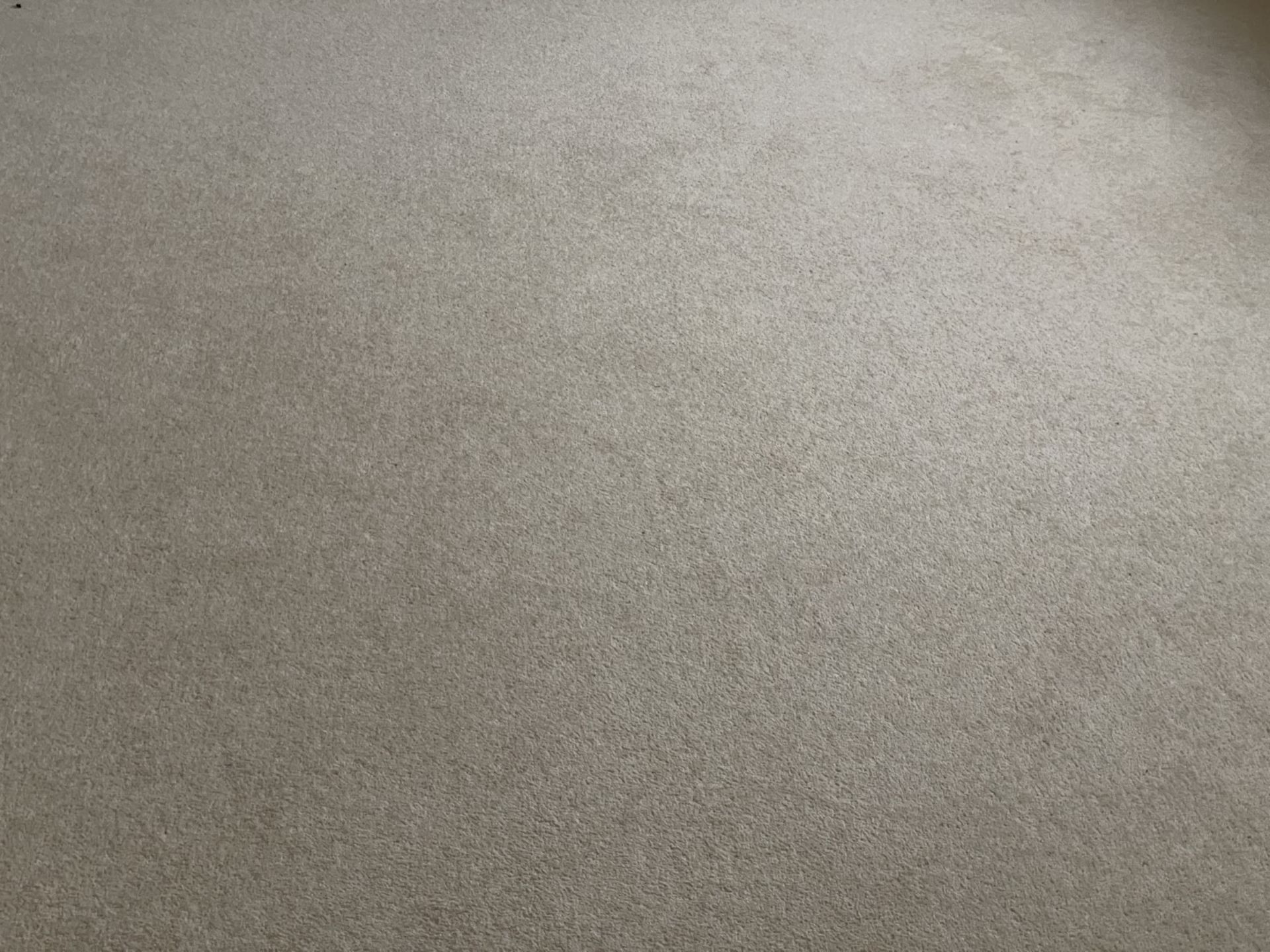 1 x Luxury Wool Back Bedroom Carpet in a Neutral Tone with Premium Underlay - Image 9 of 16