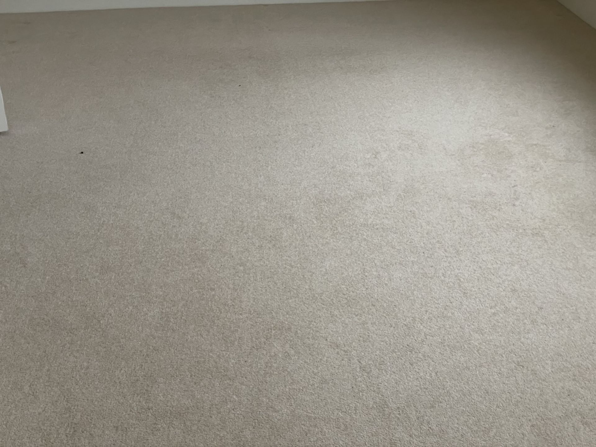 1 x Luxury Wool Bedroom + Dressing Room Carpets in a Neutral Tone with Premium Underlay - Image 11 of 12