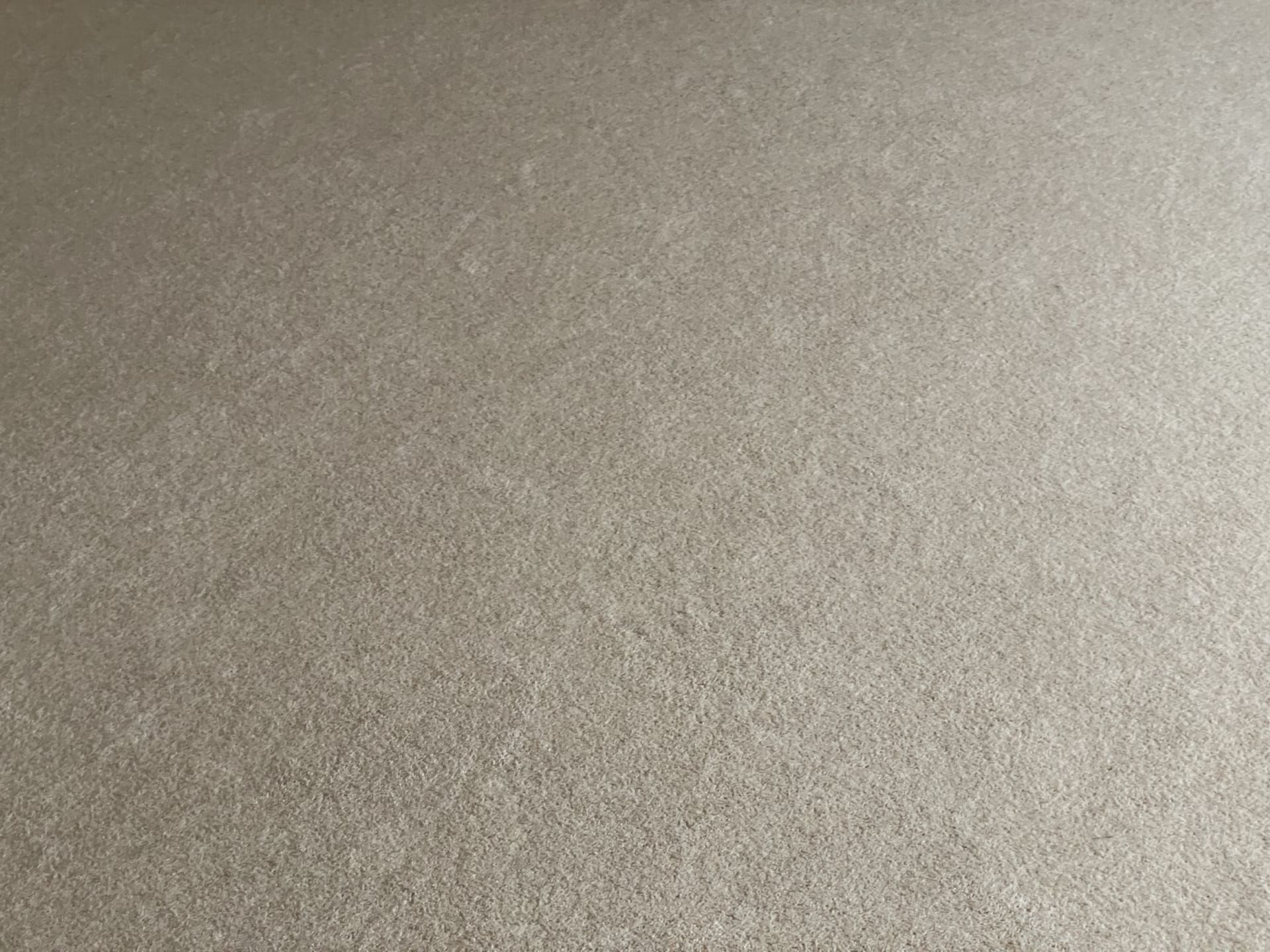 1 x Luxury Wool Back Bedroom Carpet in a Neutral Tone with Premium Underlay - Image 3 of 16
