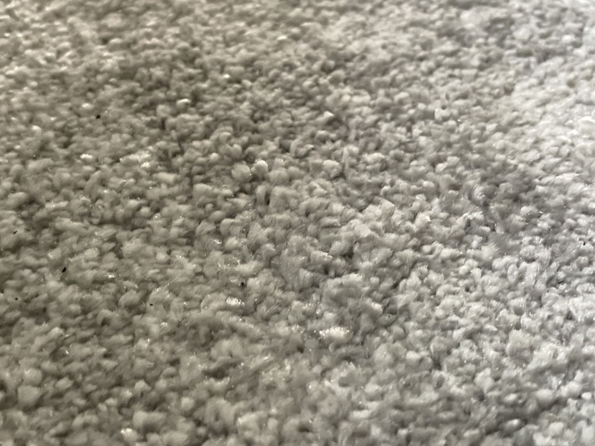 1 x Luxury Wool Downstairs Carpet in a Neutral Tone + Premium Underlay - Ref: PAN211 - CL896 - NO - Image 9 of 20