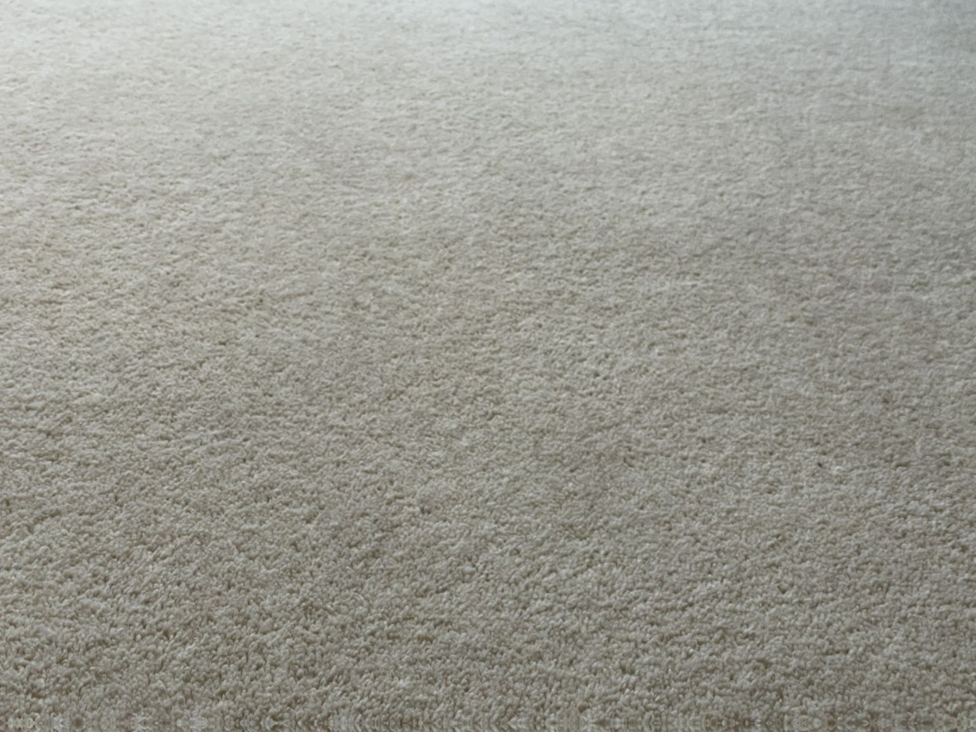 1 x Luxury Wool Back Bedroom Carpet in a Neutral Tone with Premium Underlay - Image 7 of 16