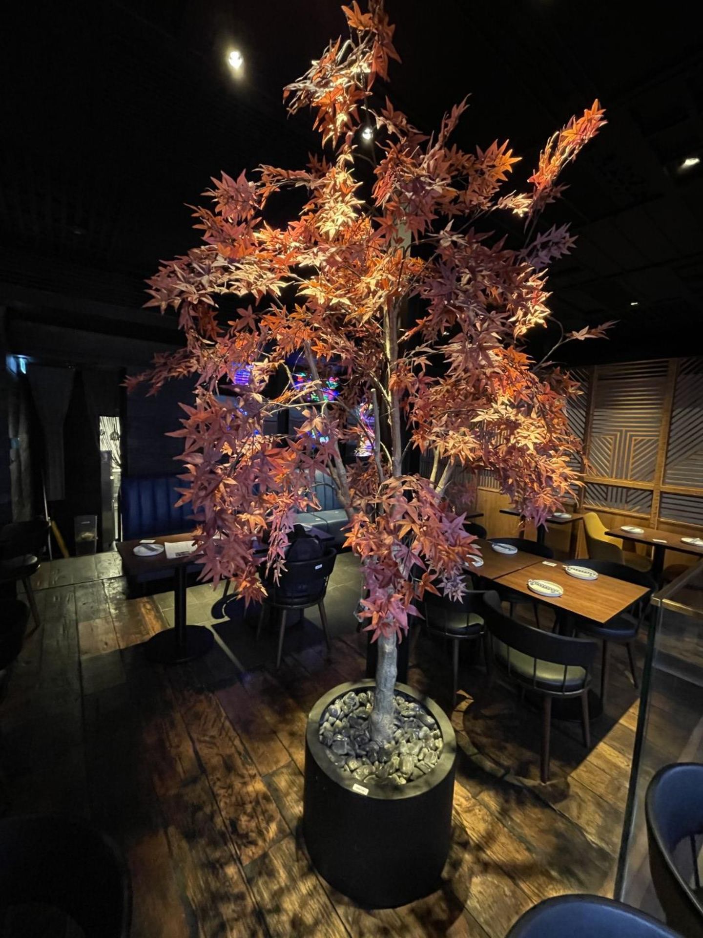 1 x Artificial Japanese Maple Tree with a Black 40 x 60cm Base - Stands Over 8ft Tall - Image 3 of 22