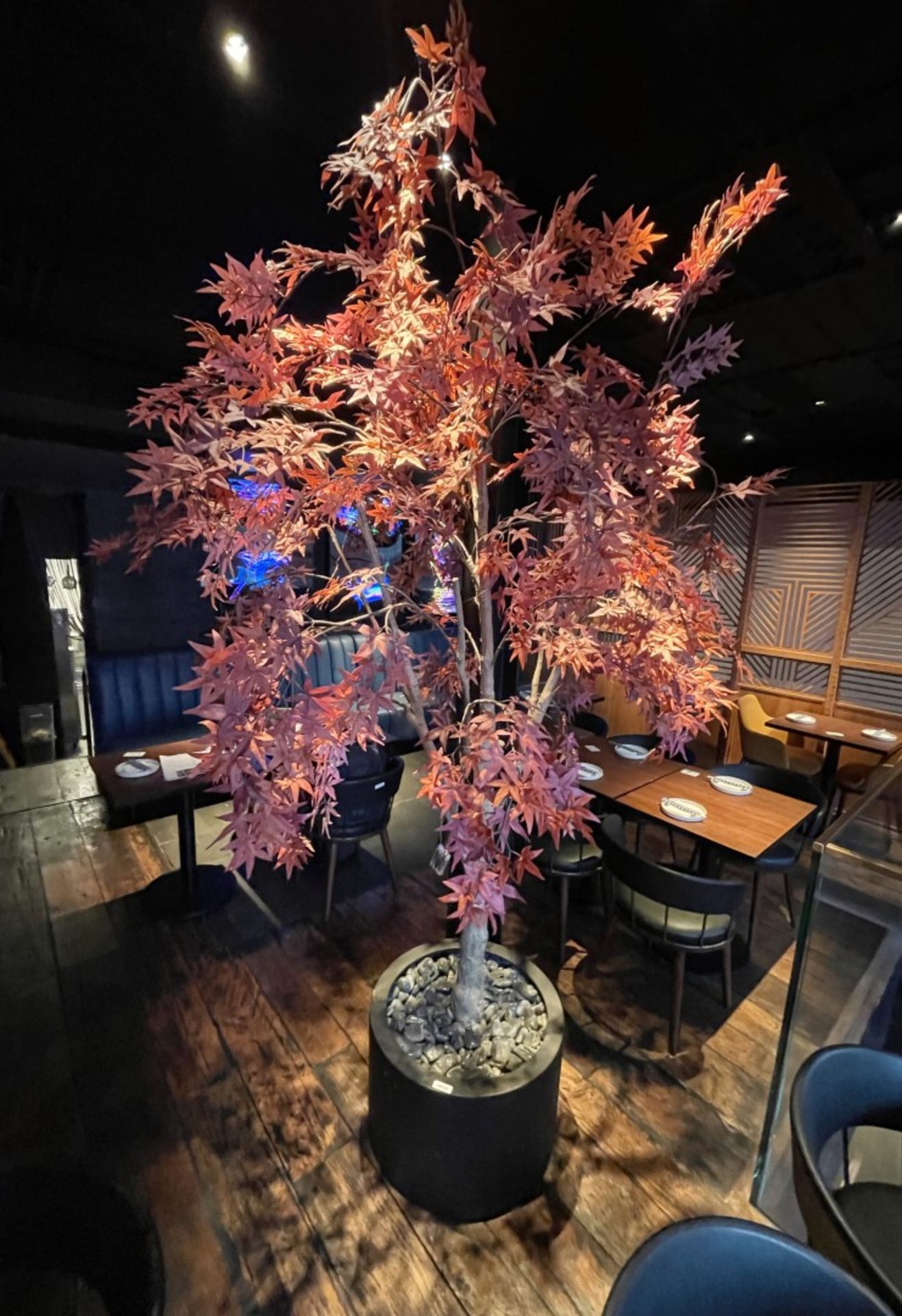 1 x Artificial Japanese Maple Tree with a Black 40 x 60cm Base - Stands Over 8ft Tall