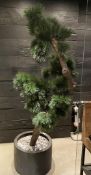 1 x Artificial Japanese Bonsai Tree with a Black 40 x 65cm Base - Stands Over 6.5ft Tall