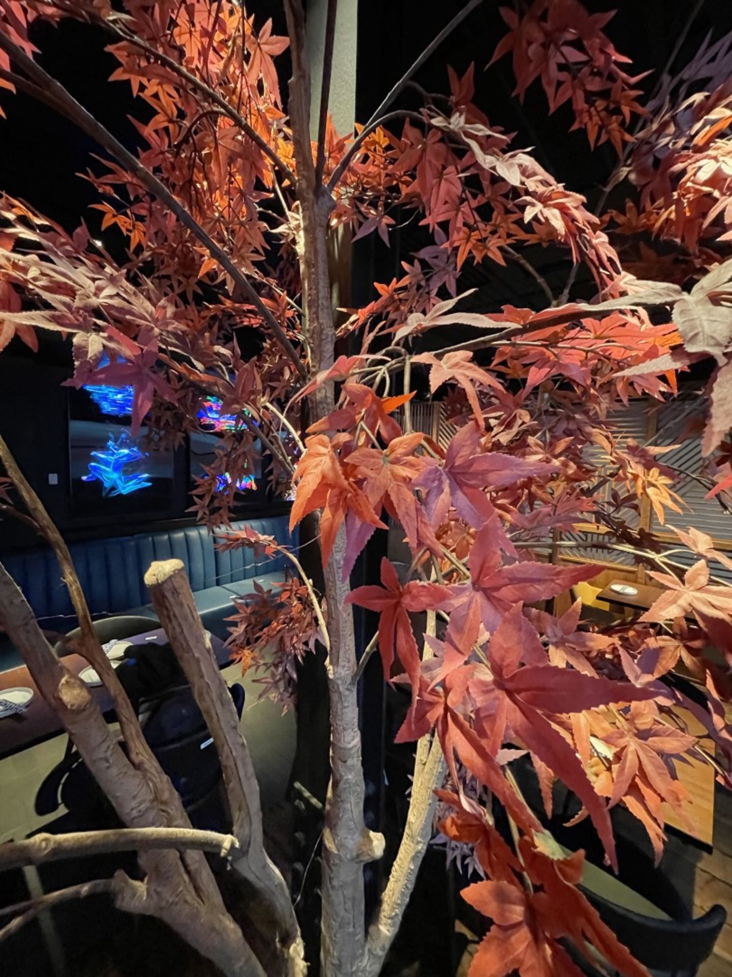 1 x Artificial Japanese Maple Tree with a Black 40 x 60cm Base - Stands Over 8ft Tall - Image 5 of 22