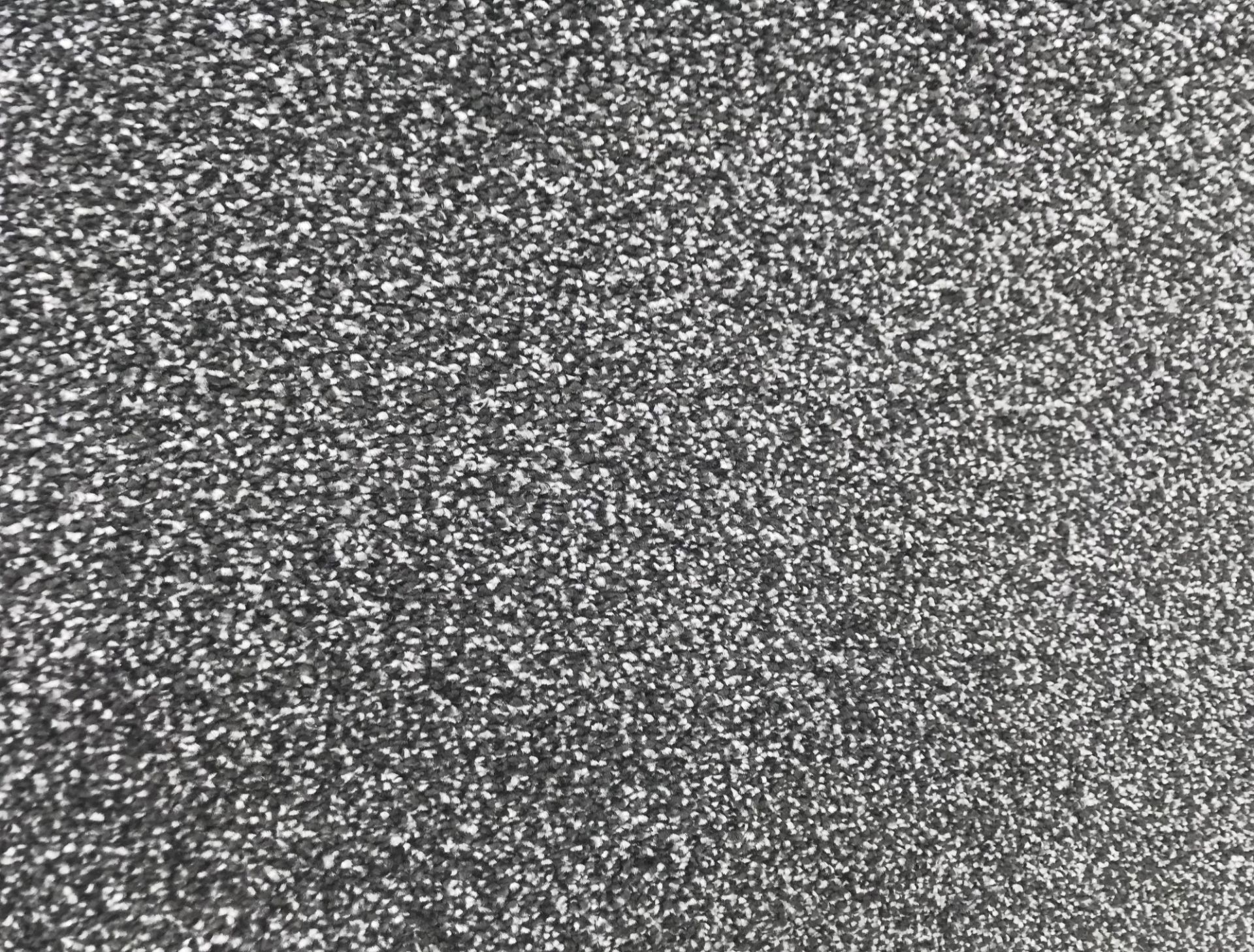 1 x Luxury 50Oz Twist Pile Carpet - Colour Platinum Grey - 18X4 Meter Roll - Rrp £36.99/Sqm - Ref: - Image 3 of 5