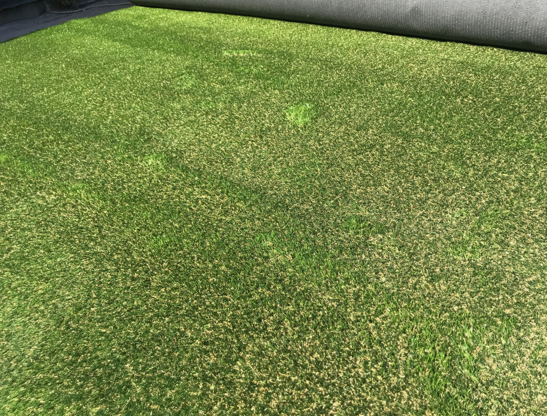 1 x Playrite Nearly Grass - Artificial Grass/Turf - 30X4 Meter Roll - Ref: NWF022 - CL912 - NO VAT