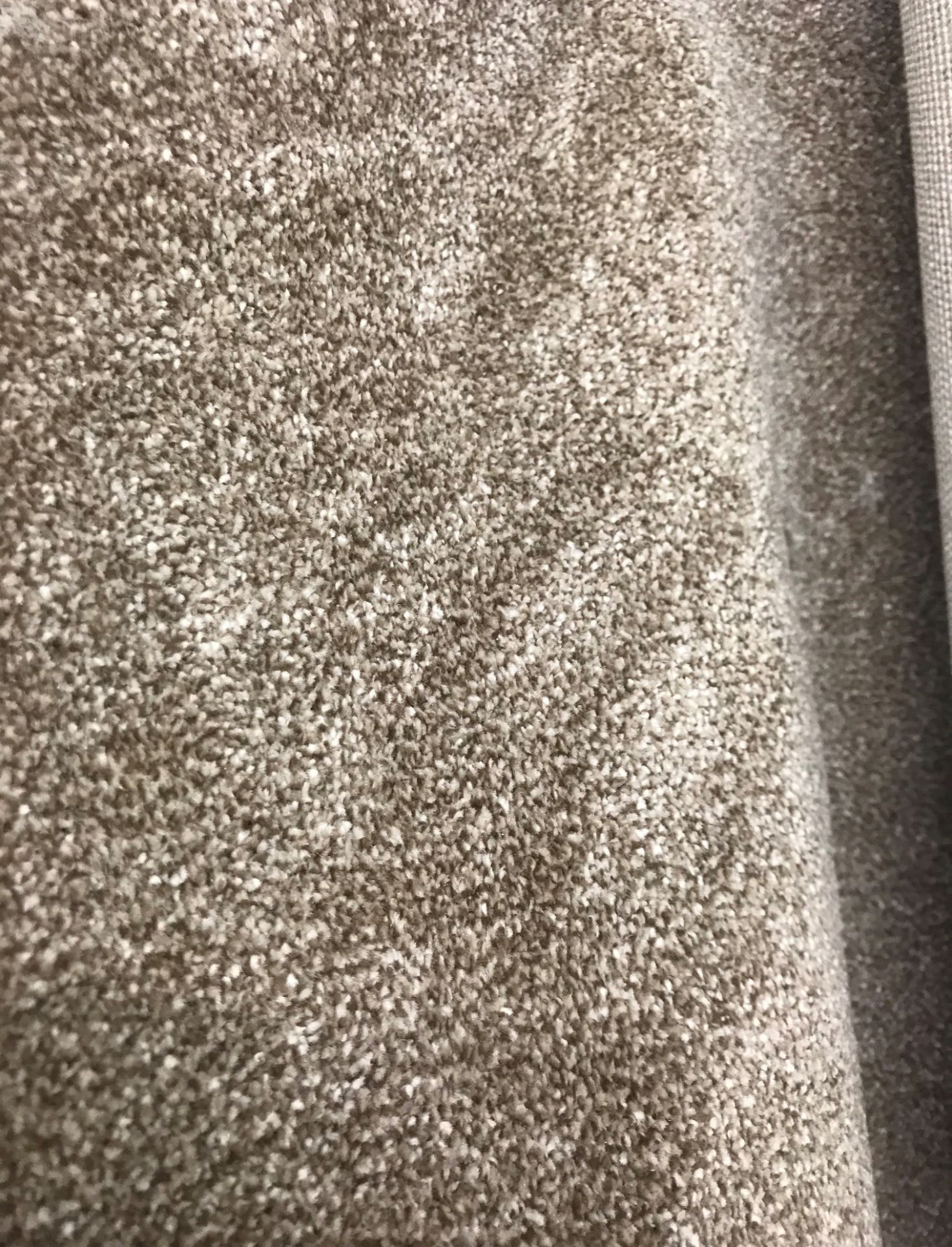1 x Luxury Quality 50Oz Twist Pile Carpet - Colour Malted Barley - - 16.5X4 Meter Roll - Rrp £36. - Bild 2 aus 3