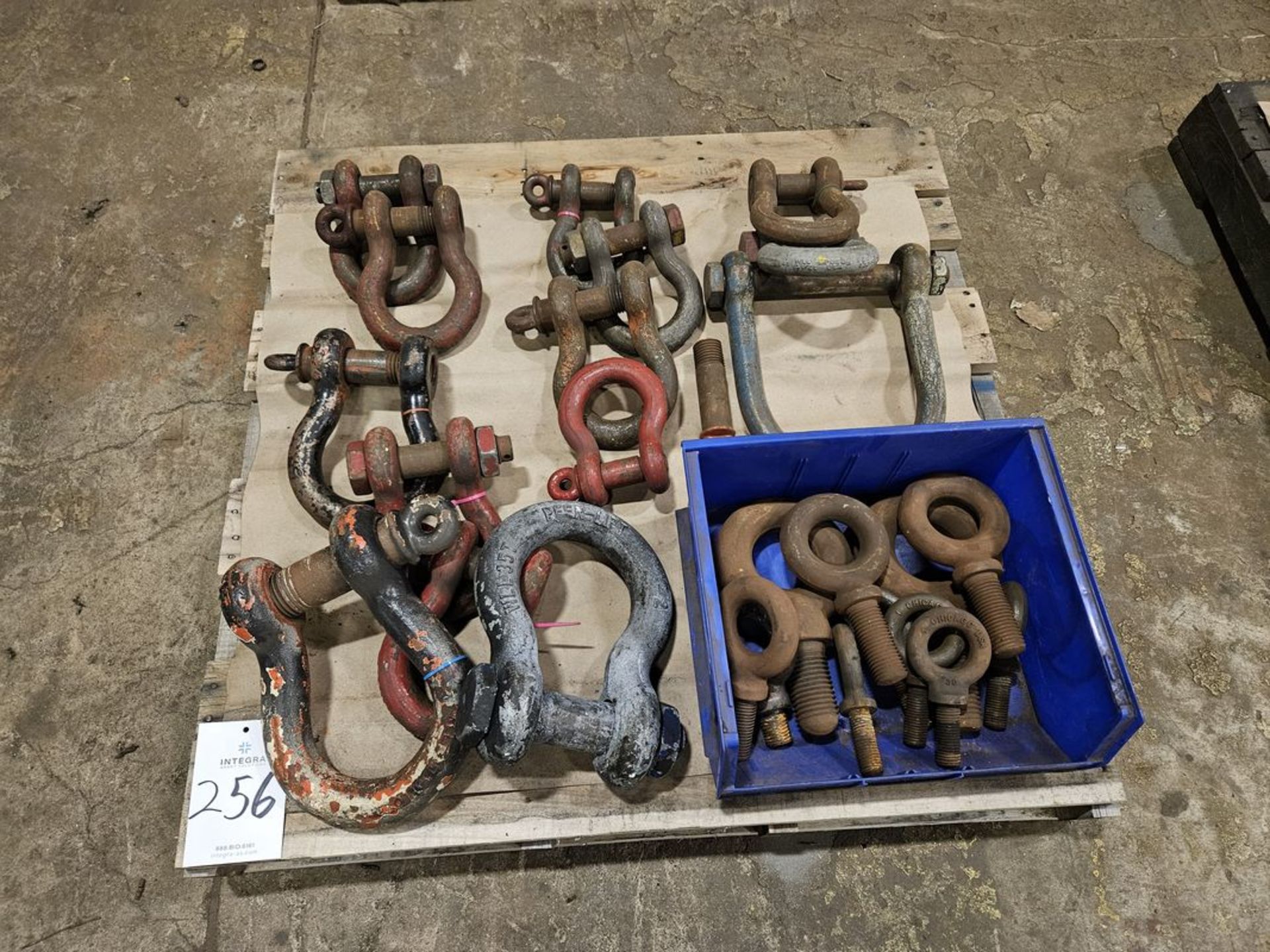 Lot of Assorted Shackles