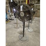 24" Pedestal Fan