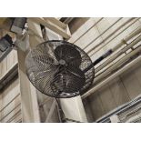 (10) 24" Wall Mounted Fans