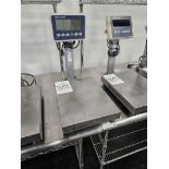 Mettler Toledo MT1241 Platform Scale