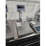 Mettler Toledo MT1241 Platform Scale