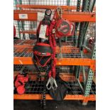 Protecta 3M Fall Protection Harness