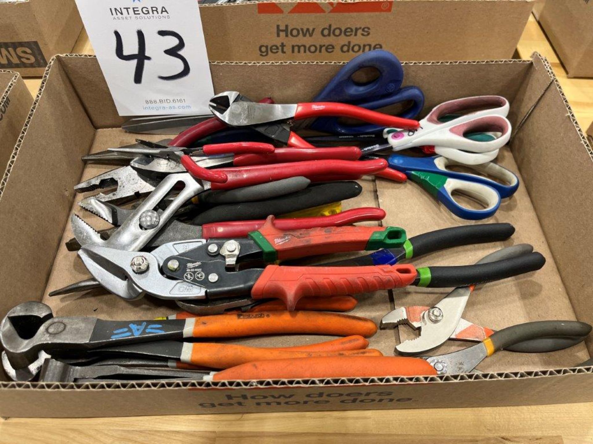 Lot of Assorted Plyers and Cutting Tools