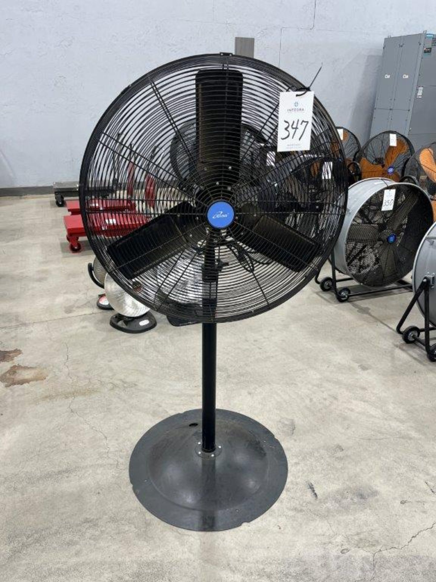 Living ILG8P30-72 30" Pedestal Fan