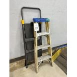 (2) Assorted Ladders