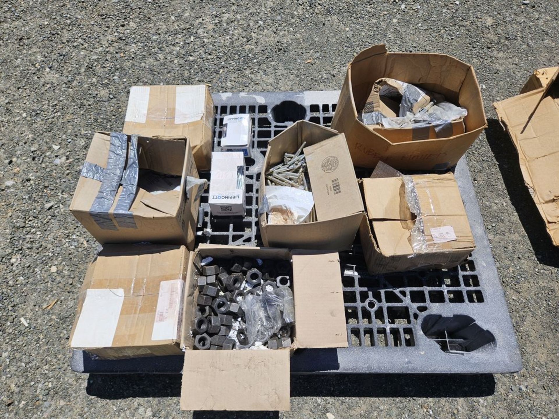 Lot Of Assorted Hardware & Fasteners