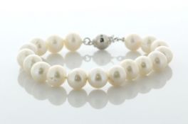 6.5 Inches Freshwater Cultured 8.5 - 9.0mm Pearl Bracelet With Silver Clasp - Valued By AGI £285.
