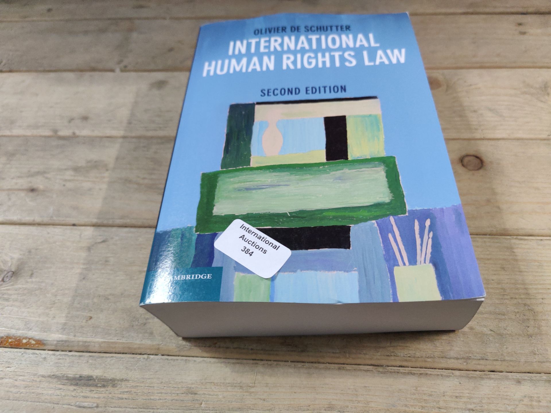 RRP £7.66 International Human Rights Law: Cases, Materials, Commentary - Image 2 of 2