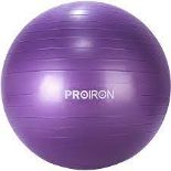 RRP £18.00 Proiron Balance Ball Purple