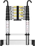 RRP £72.12 Teenza 2.9M Telescopic Ladder