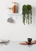 RRP £26.39 Haus Projekt White Shelf with 4 Pegs