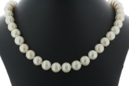 18 inch Freshwater Cultured 8.5 - 9.0mm Pearl Necklace With Gold Plated Silver Clasp - Valued By AGI