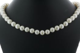 26 inch Freshwater Cultured 7.0 - 7.5mm Pearl Necklace With Silver Clasp - Valued By AGI £490.00 -