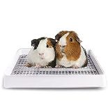 RRP £37.55 Oncpcare Guinea Pig Litter Pan with Grate