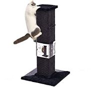 RRP £57.07 PAWZ Road Tall Cat Scratching Post Interactive Sisal