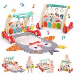 RRP £41.09 cute stone Baby Gym Play Mat & Baby Learning Walker