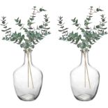 RRP £11.40 Hacaroa 2 Pack Clear Stout Glass Vase