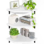 RRP £38.80 Alsonerbay White Corner Wall Shelf