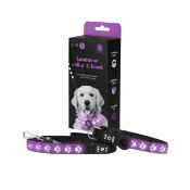 RRP £28.52 pawStore Adjustable LED Luminous Dog Collar and Lead Set with Airtag Holder