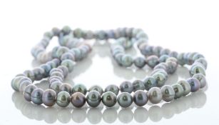 36 Inch Freshwater Cultured 7.0 - 7.5mm Pearl Necklace - Valued By AGI £335.00 - 7.0 - 7.5mm