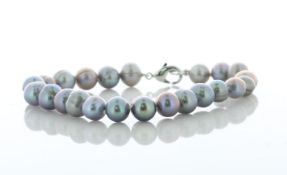 Freshwater Cultured 7.0 - 7.5mm Pearl Bracelet With Silver Plated Clasp - Valued By AGI £220.00 -